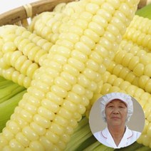 햇생물 괴산대학찰옥수수 정품/엄정선별품, 생물20개+덤