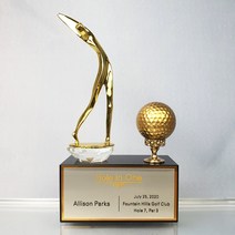 좋은상패 부모님감사패 상패 트로피 홀인원기념패 공로패 골프이글패 골프싱글패 RTB001G
