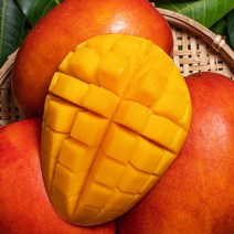 영화청과 특급 수입산 망고 2kg 가격 제철 선물, 쿠팡 1, 쿠팡 본상품선택