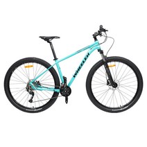 [휠러코리아] PROBIG 100 18단 29인치 알로이 MTB 자전거 2022, 17인치, MINT