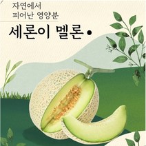 GAP 나주 세지 메론 세론이 멜론 정품 11~13brx, 파랑박스(12브릭스) 3수크기2통 3.32kg