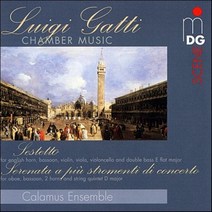 [CD] Calamus Ensemble 루이지 가티: 쳄버 음악 (Luigi Gatti: Chamber Music)
