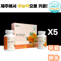 제주 메리골드 MARIGOLD 제주특산품 농축분말 무농약 만수국 천수국 마리골드 국내산 금송화 금잔화 홍황초 10대 20대 30대 40대 50대 60대 남녀노소 누구나 먹기편한, 5박스, 90정x2통