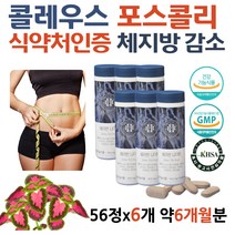 콜레우스 포스콜리 추출물 식약청 5일 중년 다이어트 상체비만 알약 50대 자기전 다이어트 테아닌 감태 홍경천 기초대사량 포스콜린 forskolin 추출물 다이어트에좋은음식