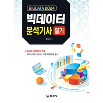 2024 빅데이터분석기사 필기 장은진 일진사