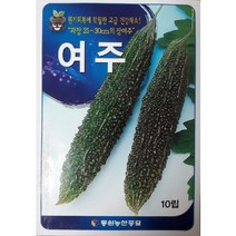 여주씨앗 100립/슈퍼여주 씨앗(대형종)/장여주씨앗