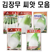 22년 김장 무 씨앗 모음 청운무 청운플러스 초롱무 알타리무 황토골드 향토김장 무 씨앗 텃밭 채소, 청운플러스2000립(김장용)