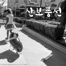 산보풍선/풍선 산책풍선 헬륨풍선 호일풍선 동물풍선, 2.티라노사우르스