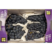 국산 캠벨포토 남원 대부도 송산 상주 포도 2kg 당도보장 당일배송, 1개