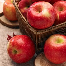 양광 사과 5kg(16-17과), 상세페이지 참조