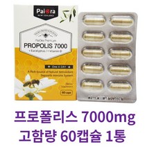 사은품+파이오라 뉴질랜드 프로폴리스 면역강화 7000mg 60캡슐, 프로폴리스 7000mg 60캡슐 1통