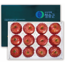 산지직송 청정지역 청송 사과 부사 최상품 청송꿀사과 못난이 실속형 가정용 선물용 청송사과 5kg 10kg, 9. 10kg(실속) 46과