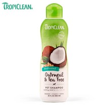 말티 지루성피부 비듬관리 저자극 약용샴푸 나이많은개피부병 진돗개피부병 각질제거