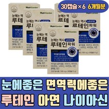 눈에좋은 면역력에좋은 파워 루테인 아연 나이아신 비타민E 셀레늄 망간 하루권장량 PTP포장 LUTEIN 건강기능식품 스마트폰 중년 노인 장년 부모님 홈쇼핑 키즈 아이 뉴테인