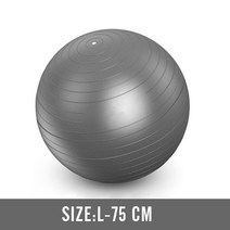 짐볼 보수볼 토닝볼 하프 토구 땅콩 남자 안티 버스트 운동 공 55cm-75cm 체육관 적합 공 전문 필라테스 요가 피트니스 균형 안정성 공 지원 2200lbs, 회색75cm