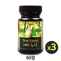 100% 리얼 노니 노니캡슐 노니정 노니정제 노니환 노니추출분말 파극천 야생노니 노니열매 알약타입 타블렛 프로제로닌 폴리페놀 효능 추천 100프로, 600mg, 60정, 3개