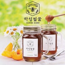 [북부농협]하성벌꿀(야생화) 500g x 2병, 단품, 단품