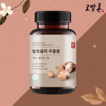 고말론 발효율피 추출물 맥스 플러스 정 1000mg 60정, 1개