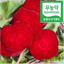 유기농 무농약 고당도 햇 레드비트 제주비트 2kg 3kg 5kg 10kg, 정이가 무농약 고당도 햇레드비트(크기혼합) 2kg