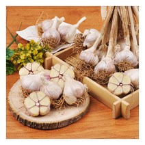 [푸르젠] 충남 서산 전병호님의 육쪽마늘 3kg(중/3.5~4cm), 상세 설명 참조