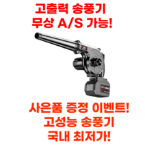 독일기술 송풍기 무선 소형 엔진 낙엽 청소기 차량용 미니 세차용 충전, 대용량 배터리 1개