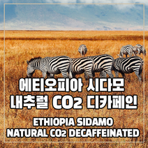 (커피생두) 176 에티오피아 시다모 내추럴 CO2 디카페인 500g, 1개