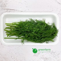 [싱싱채소 그린팜] 허브 딜 1팩(약10g)