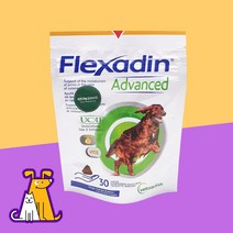 플렉사딘 어드밴스 30정 강아지 고양이 관절영양제