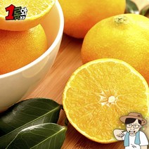 프리미엄 제주 황금향 선물용 중소과 2kg 5ㅡ11과, 상세페이지 참조, 상세페이지 참조