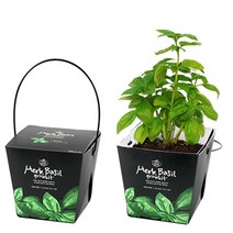 피크닉 가든 - 허브(바질)/화분키우기 씨앗심기 재배세트