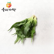 [우리가락]원츄리 1kg 이내, 단품