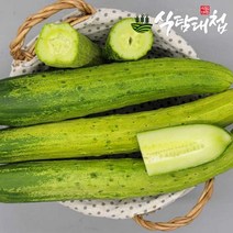 식탐대첩 남도 백오이 특상품 2kg 8~10개, 단품