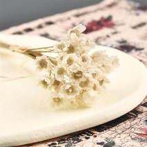 30Pcs 말린 꽃 U 필러 미니 질 스타 국화 꽃 DIY 에폭시 금형 예술 공예 보석 만들기, 01 Withe-30pcs