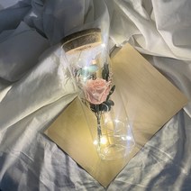 [키티편지지] [프렌치로즈]6타입 LED 코르크 유리병 기념일 선물 꽃 편지지 세트, 핑크프리저브드플라워