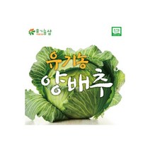 초록한입 국내산 유기농 양배추 1kg / 한정특별가 152534