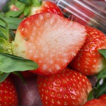 맛가득 프리미엄 여름딸기생딸기 냉동딸기 딸기원액, 여름딸기500g, 1개