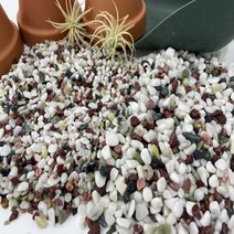 오색사 오색자갈 테라리움 바닥재, 1kg, 3~5mm