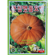 [씨앗맛집] 큰집맷돌호박 큰 맷돌 못난이 늙은 호박 채소 야채 모종 종자 씨앗 씨 재배 키우기