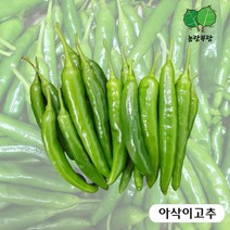 농랑부랑 국내산 오이고추 아삭이고추 4kg 5kg 10kg, 아삭이 5kg X 1박스