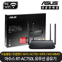 에이수스 유무선 공유기, RT-AC750L