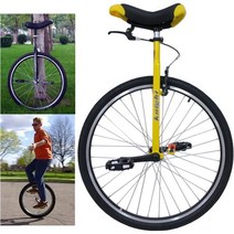 28 Inch Wheel Unicycle with Extra Big Tire Handbrake for High Speed CyclingRoad Travel Tall People B, 골드