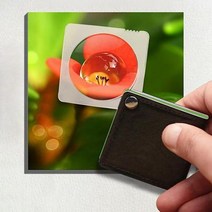 OC1093 휴대용 포켓 폴딩 효도 55mm10배율 사각돋보기, 1.본품(OC1093)