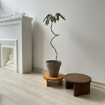 원목선반 화분받침 스툴, 300mm, 티크