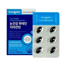 영진약품 영플랜 눈건강 루테인지아잔틴 30캡슐 비타민 아연 구리 셀레늄 식약처인증, 1개, 30정