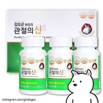 김오곤 원장 관절의 신 MSM 90정 3병 김오곤관절약 뼈 건강, 단품