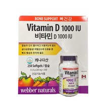 WEBBER NATURALS 비타민D 1000IU 205MG X 250캡슐, 1