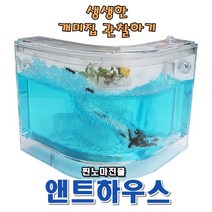 곤충 개미집 관찰 개미키우기 개미 탐험 앤트하우스, 신나는 개미탐험 앤트하우스:현재상품선택