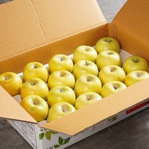 황금사과 정품 망포장 중대과 3kg 11~12과, 단품