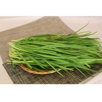부추(특)4kg 2박스묶음 자연대로팜웨이, 부추4kg 2박스