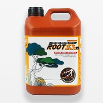 루트에이스 5L 뿌리발근제 뿌리발근 생육촉진 생리장애 극복 냉해 피해경감 착근촉진, 단품, 5000ml